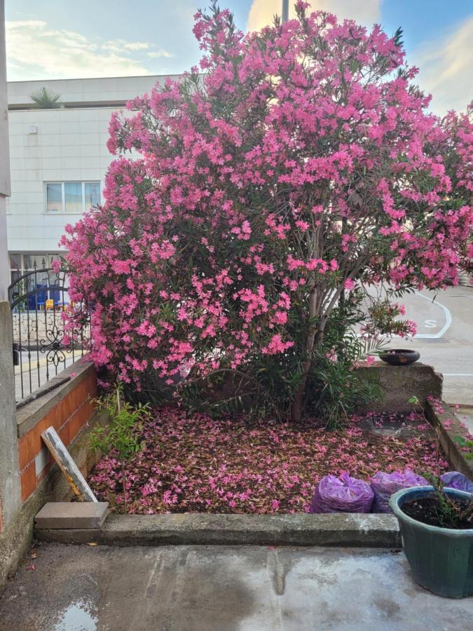Apartmán Harizma Primošten Exteriér fotografie